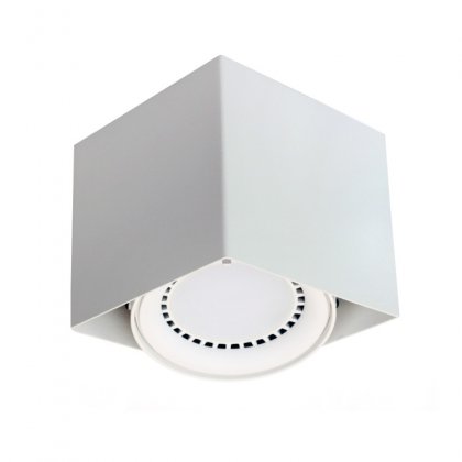 PP P 618/1 WH PLAFON ES111