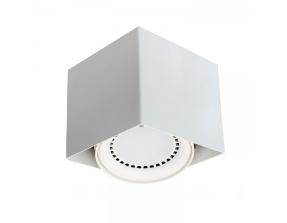 PP P 618/1 WH PLAFON ES111 PP P 618/1 WH