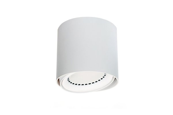 PP P 618/1 WH TUBA PLAFON ES111 PP P 618/1 WH TUBA w kategorii Lampy sufitowe