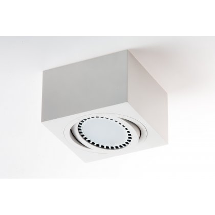 PP P 222 WH PLAFON ES111 AR111 QR111