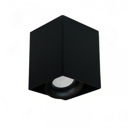 PP P 818/1 BK PLAFON OPRAWA NATYNKOWA PAR16