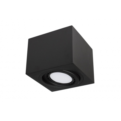 PP P 224 BK PLAFON ES111 AR111 QR111