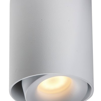 PP P 818/1 WH TUBA PLAFON PAR16