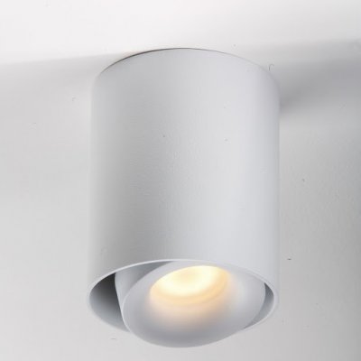 PP P 818/1 WH TUBA PLAFON PAR16