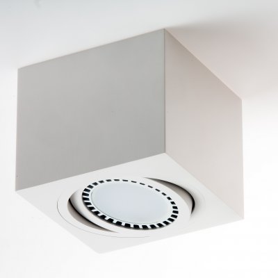 PP P 224 WH PLAFON ES111 AR111 QR111