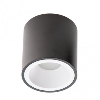 PP P 207 BK/WH PLAFON