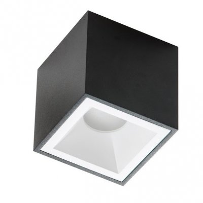 PP P 208 BK/WH PLAFON