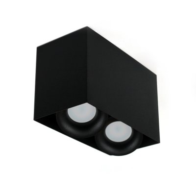 PP P 818/2 BK PLAFON OPRAWA NATYNKOWA PAR16